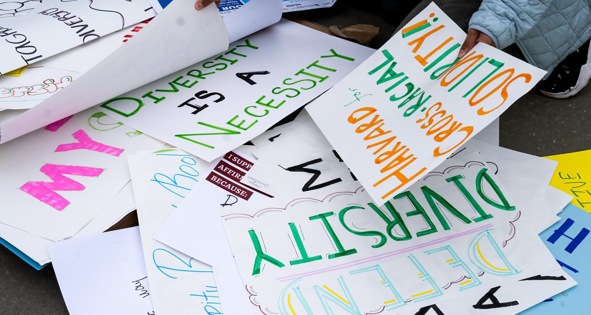 Signs that say "Defend Diversity"
