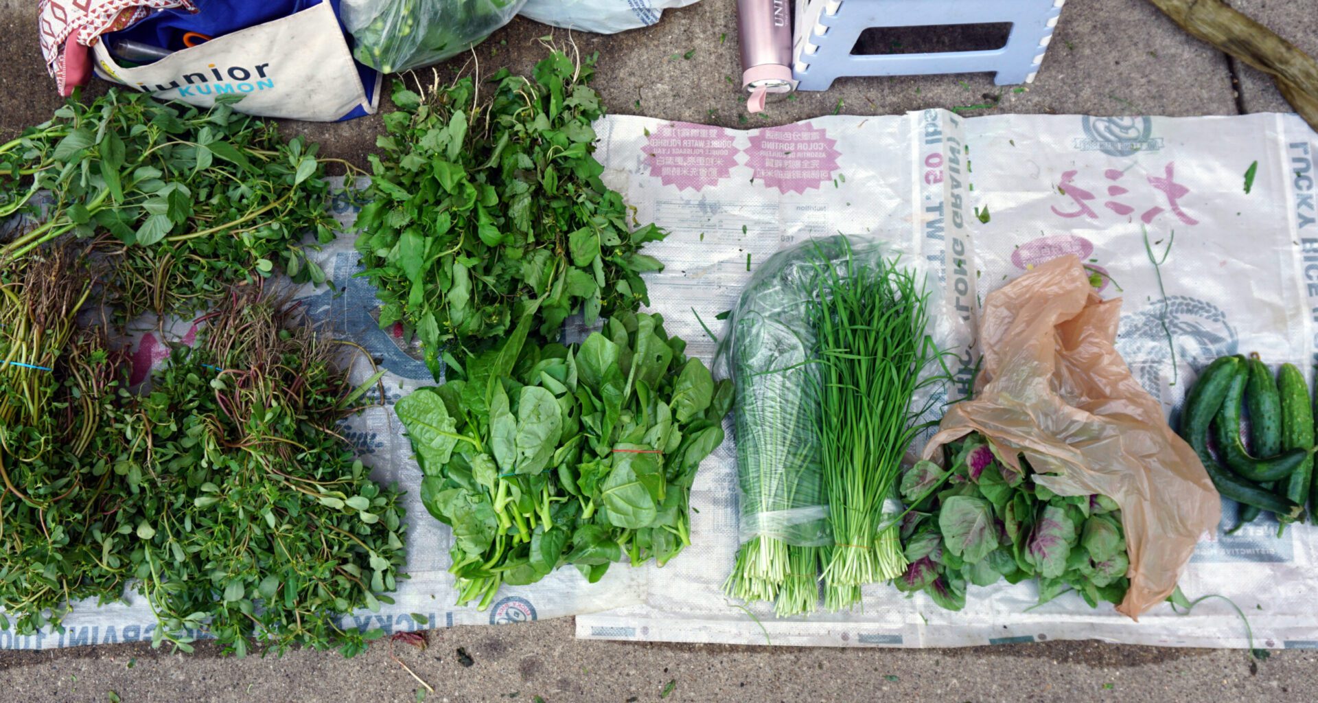 Photo showing piles of green produce laying on a towel on the ground