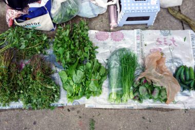 Photo showing piles of green produce laying on a towel on the ground