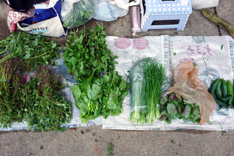 Photo showing piles of green produce laying on a towel on the ground