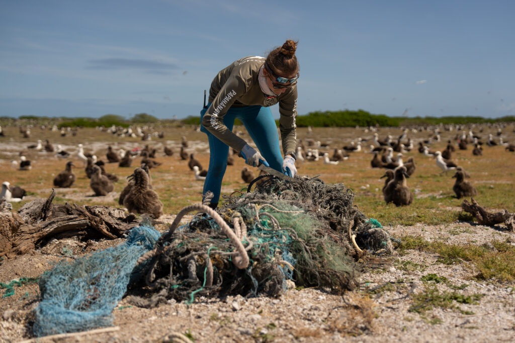 Photo of a person cutting up a run-down net and other marine debris on the sand as birds watch from behind